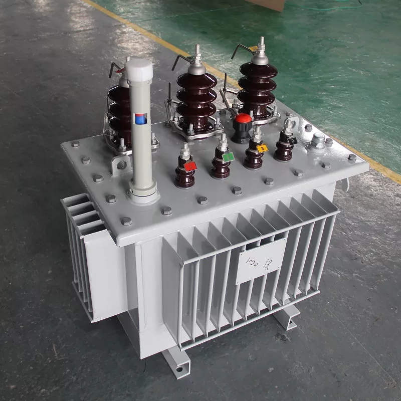Oil-immersed Transformer